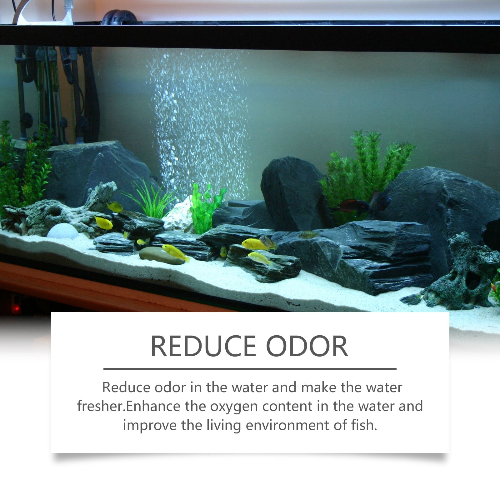 HKM-151955 Aquarium Water Quality Clarifying Agent - 100ml Decontamination Cleaner for Freshwater and Saltwater Tanks