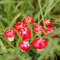 HKM-152211 Small Red Moss Mushroom Decoration Simulation for Miniature Gardens