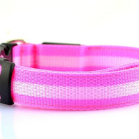 HKM-152275 LED Luminous Pet Collar with 2.5cm Stripe in 6 Colors and 3 Sizes, Battery & USB Options