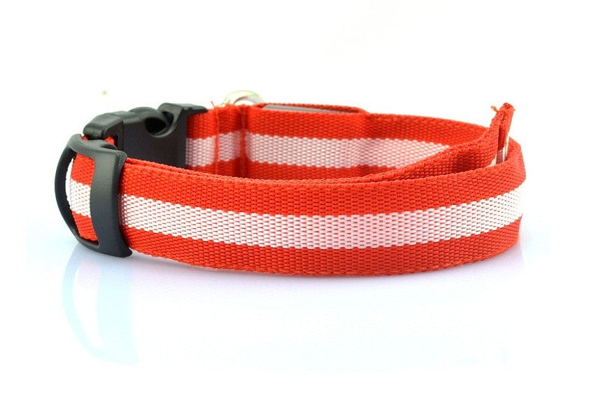 HKM-152275 LED Luminous Pet Collar with 2.5cm Stripe in 6 Colors and 3 Sizes, Battery & USB Options