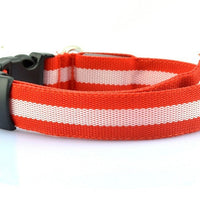 HKM-152275 LED Luminous Pet Collar with 2.5cm Stripe in 6 Colors and 3 Sizes, Battery & USB Options