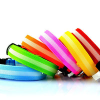 HKM-152275 LED Luminous Pet Collar with 2.5cm Stripe in 6 Colors and 3 Sizes, Battery & USB Options