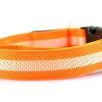 HKM-152275 LED Luminous Pet Collar with 2.5cm Stripe in 6 Colors and 3 Sizes, Battery & USB Options