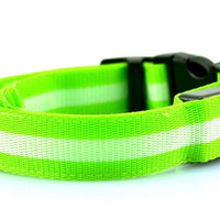 HKM-152275 LED Luminous Pet Collar with 2.5cm Stripe in 6 Colors and 3 Sizes, Battery & USB Options