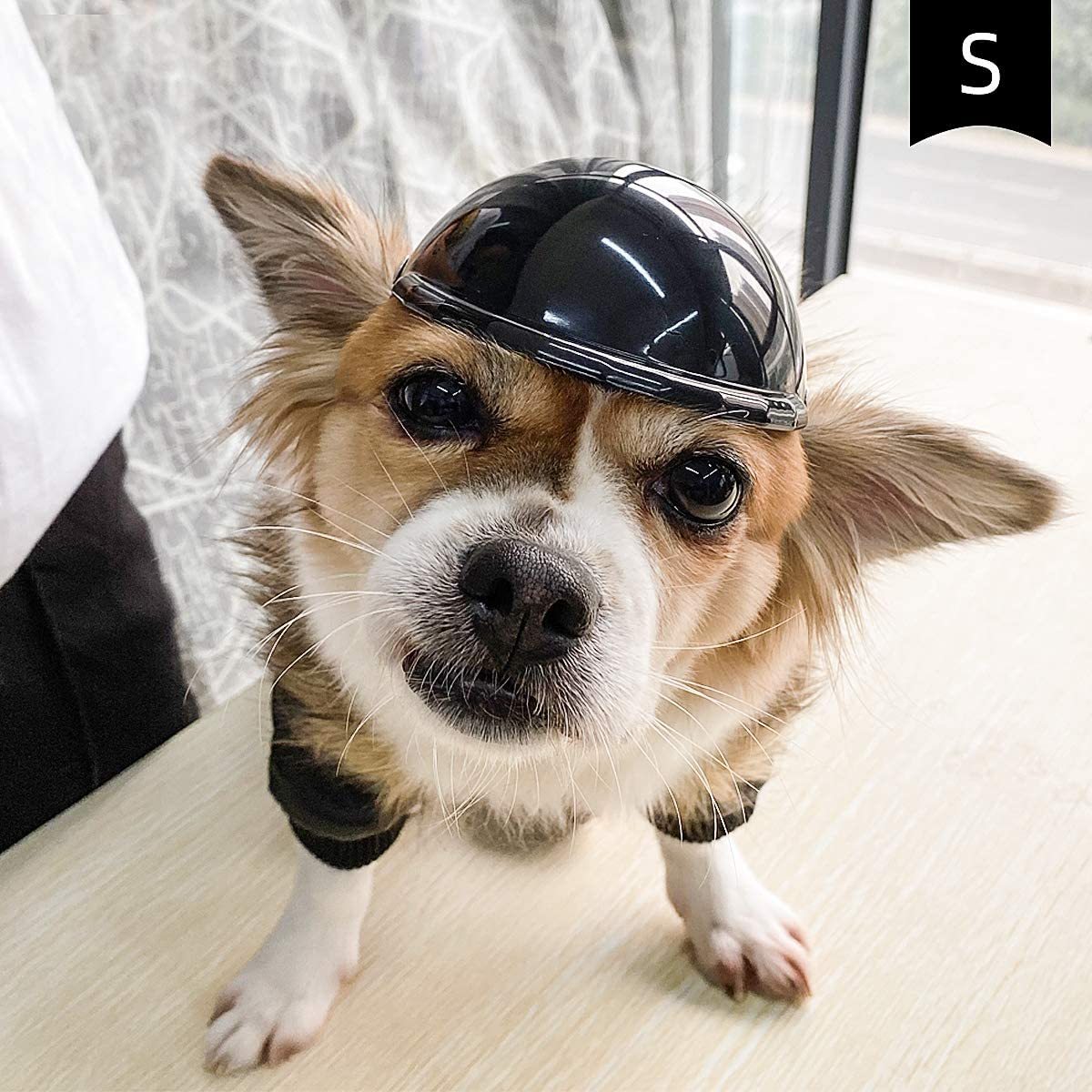 HKM-155347 Pet Helmet New Motorcycle Helmet Dog Cat Accessories Pet Toy Hat Headwear