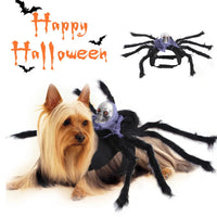HKM-157459 Halloween Spider Costume for Dogs and Cats - Funny Pet Cosplay Apparel and Accessories
