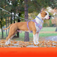 HKM-159379 Dog Chest Strap Leash with Adjustable Hand Holding Rope - Multiple Colors Available