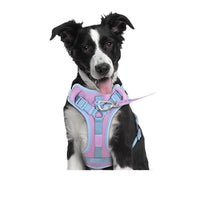 HKM-159379 Dog Chest Strap Leash with Adjustable Hand Holding Rope - Multiple Colors Available