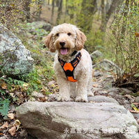 HKM-160531 Reflective Explosion-Proof Dog Harness - Oxford Cloth, Mesh, and EVA Material - Adjustable for Small to Large Dogs