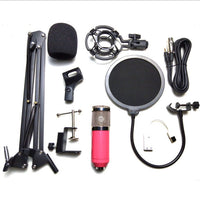 HKM-162195 BM-800 Professional Desktop Microphone with Dual-Channel Ultra-High-Definition Audio Output