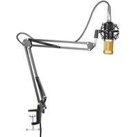 HKM-162195 BM-800 Professional Desktop Microphone with Dual-Channel Ultra-High-Definition Audio Output