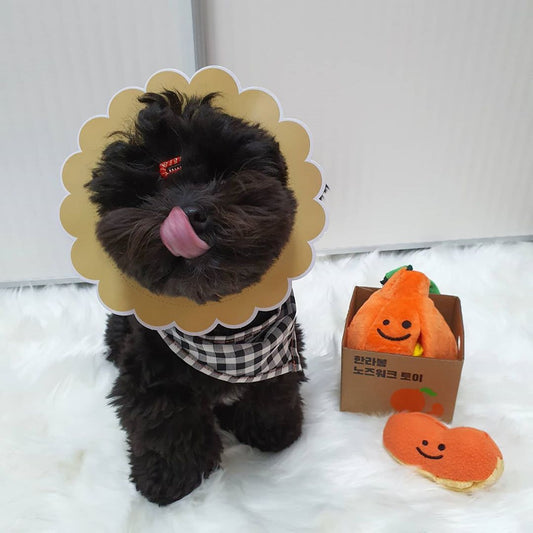 HKM-162515 Ugly Orange Plush Dog Toy with Sound - Sniffing Toy for Engaging Play
