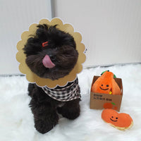 HKM-162515 Ugly Orange Plush Dog Toy with Sound - Sniffing Toy for Engaging Play