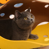 HKM-163475 Cat Tunnel Felt Shape-Shifting Nest Toy - 22x92cm, 3MM Thick