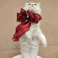 HKM-164499 Adjustable Bow Tie Collar for Cats and Dogs in Fantasy Colors