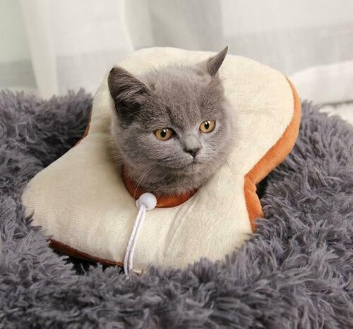 HKM-165139 Adjustable Soft Recovery Collar for Cats and Small Dogs – Lemon Design, Ideal for Post-Surgery and Wound Healing