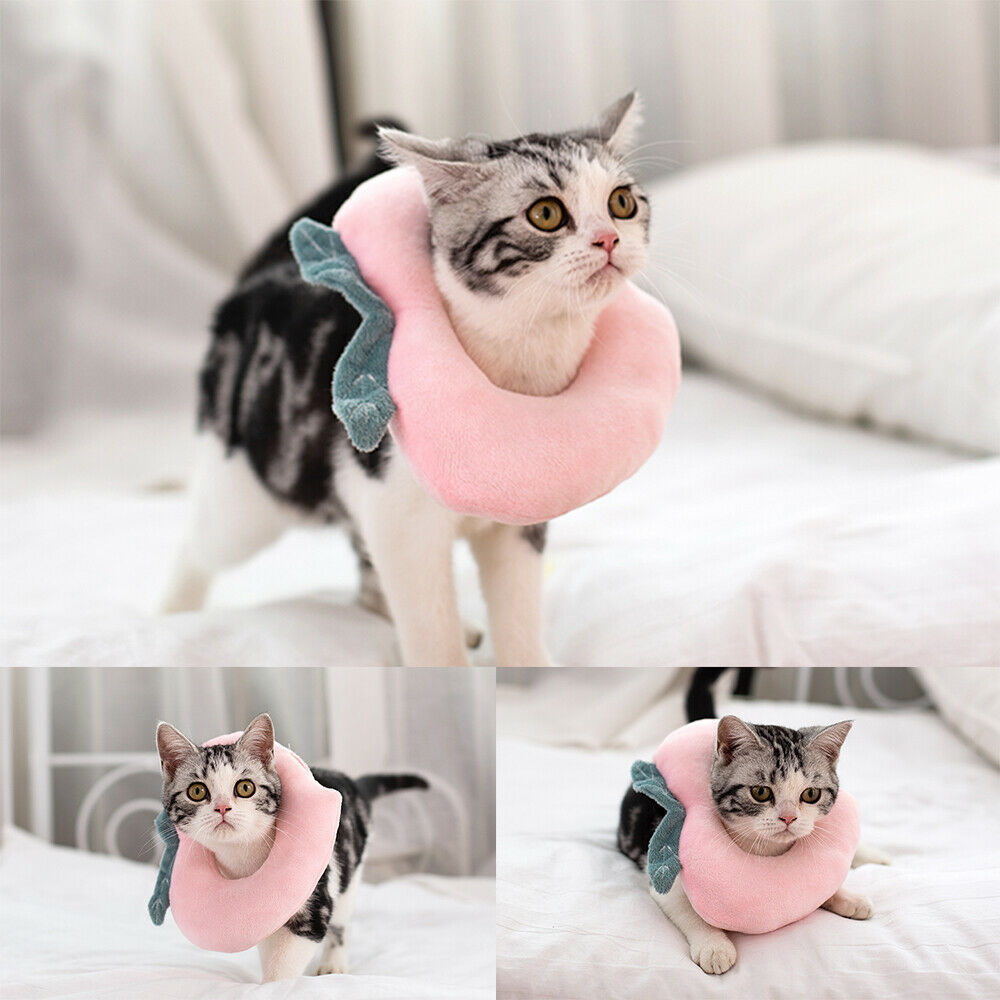 HKM-165139 Adjustable Soft Recovery Collar for Cats and Small Dogs – Lemon Design, Ideal for Post-Surgery and Wound Healing
