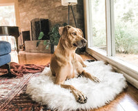 HKM-165715 Beige Plush Pet Dog Mat for Rest, Available in Multiple Sizes