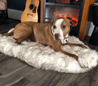 HKM-165715 Beige Plush Pet Dog Mat for Rest, Available in Multiple Sizes