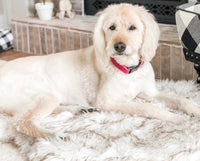 HKM-165715 Beige Plush Pet Dog Mat for Rest, Available in Multiple Sizes