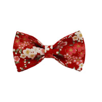 HKM-166611 Floral Design Dog Collar and Leash Set with Alloy Buckle and Matching Bow