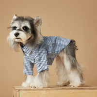 HKM-169555 Light Blue Small Plaid Cotton Shirt for Dogs - Summer Pet Clothing in Multiple Sizes