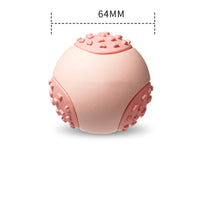 HKM-171155 Dogs Vocal Bite Resistant Teething Toys
