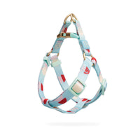 HKM-171731 Y-Shaped Nylon Dog Chest Strap and Leash Set - Adjustable for Small to Medium Dogs