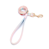 HKM-171731 Y-Shaped Nylon Dog Chest Strap and Leash Set - Adjustable for Small to Medium Dogs