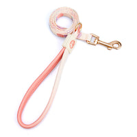 HKM-171731 Y-Shaped Nylon Dog Chest Strap and Leash Set - Adjustable for Small to Medium Dogs