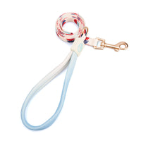 HKM-171731 Y-Shaped Nylon Dog Chest Strap and Leash Set - Adjustable for Small to Medium Dogs
