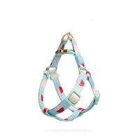 HKM-171731 Y-Shaped Nylon Dog Chest Strap and Leash Set - Adjustable for Small to Medium Dogs