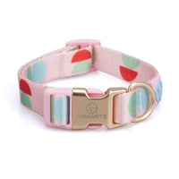 HKM-171731 Y-Shaped Nylon Dog Chest Strap and Leash Set - Adjustable for Small to Medium Dogs