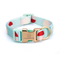 HKM-171731 Y-Shaped Nylon Dog Chest Strap and Leash Set - Adjustable for Small to Medium Dogs