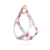 HKM-171731 Y-Shaped Nylon Dog Chest Strap and Leash Set - Adjustable for Small to Medium Dogs