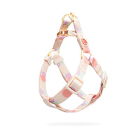 HKM-171731 Y-Shaped Nylon Dog Chest Strap and Leash Set - Adjustable for Small to Medium Dogs