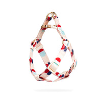 HKM-171731 Y-Shaped Nylon Dog Chest Strap and Leash Set - Adjustable for Small to Medium Dogs