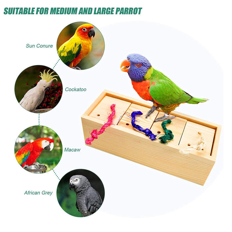 HKM-173779 Wooden Bird Puzzle Training Toy Set for Pets - 3-Piece, 6-Piece, and 8-Piece Options