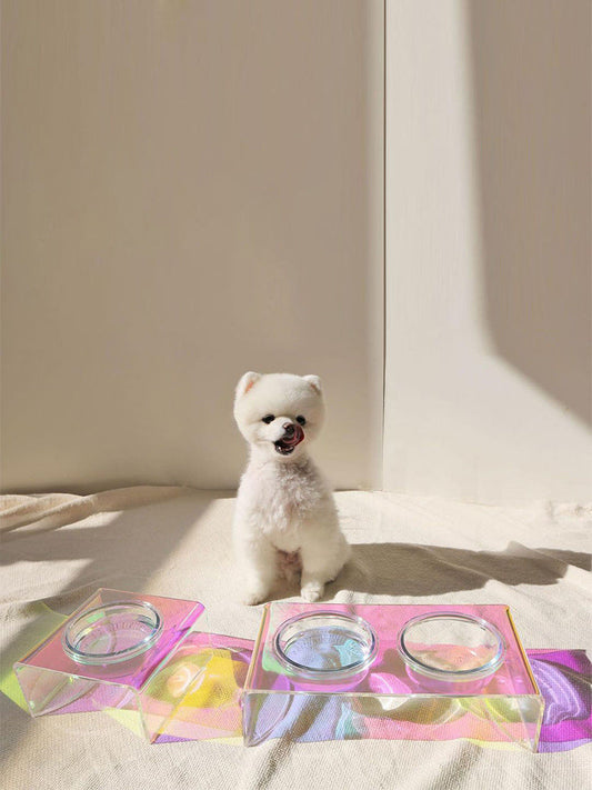 HKM-175507 Acrylic Rainbow Pet Feeder Bowl for Cats and Small Dogs, Dazzling Design, Anti-Slip Base
