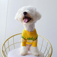 HKM-175571 Pineapple Print Wool Pet Sweater for Autumn and Winter - Casual Design in Yellow