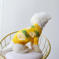 HKM-175571 Pineapple Print Wool Pet Sweater for Autumn and Winter - Casual Design in Yellow