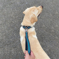 HKM-181587 Nylon Traction Rope for Dogs - Short Style, Various Colors Available, 32cm Length