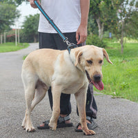 HKM-181587 Nylon Traction Rope for Dogs - Short Style, Various Colors Available, 32cm Length