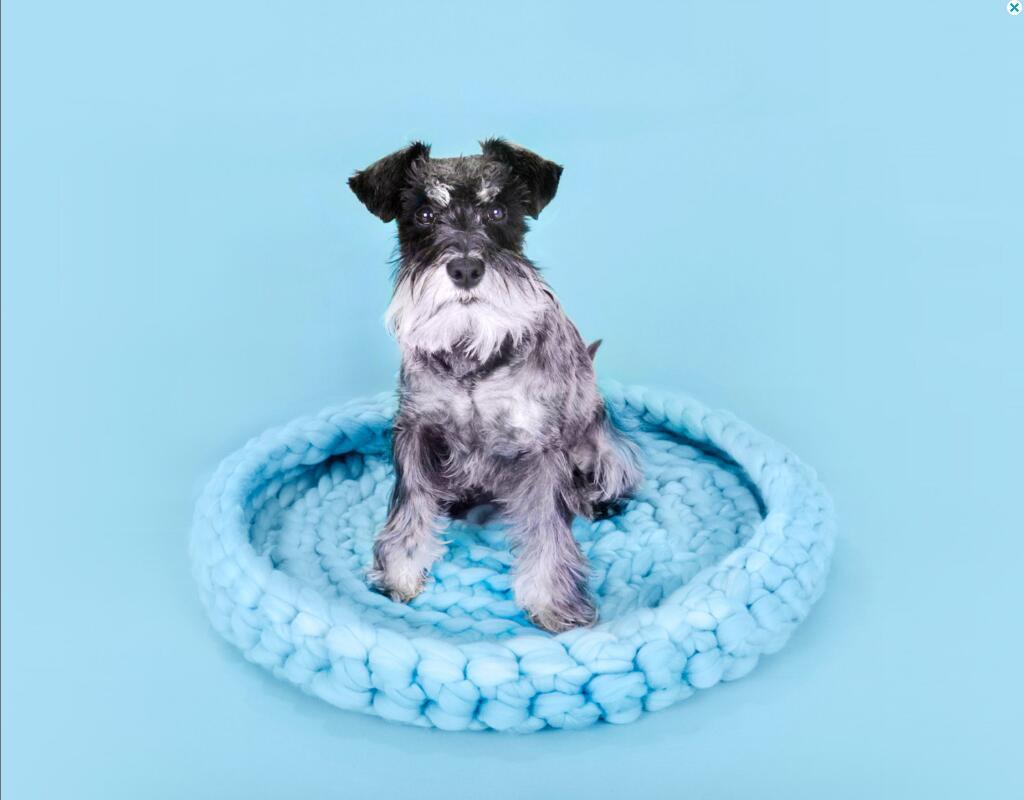 HKM-182035 Coarse Wool Pet Nest - 45cm Thick Wool Dog House