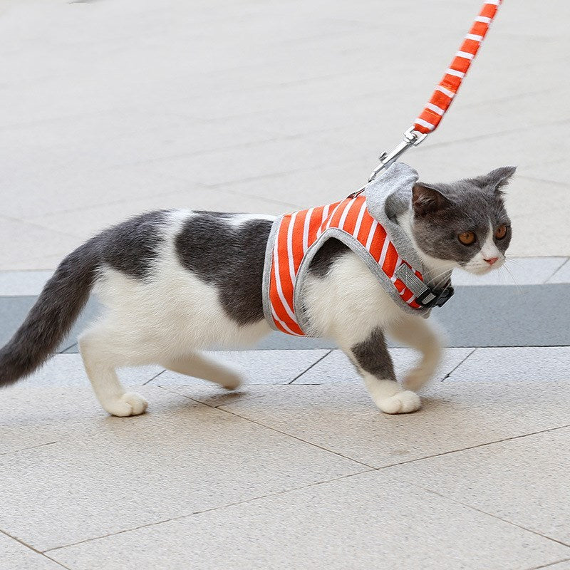 HKM-182099 Hooded Vest Chest Harness for Cats with Leash - XS, S in Pink and Orange