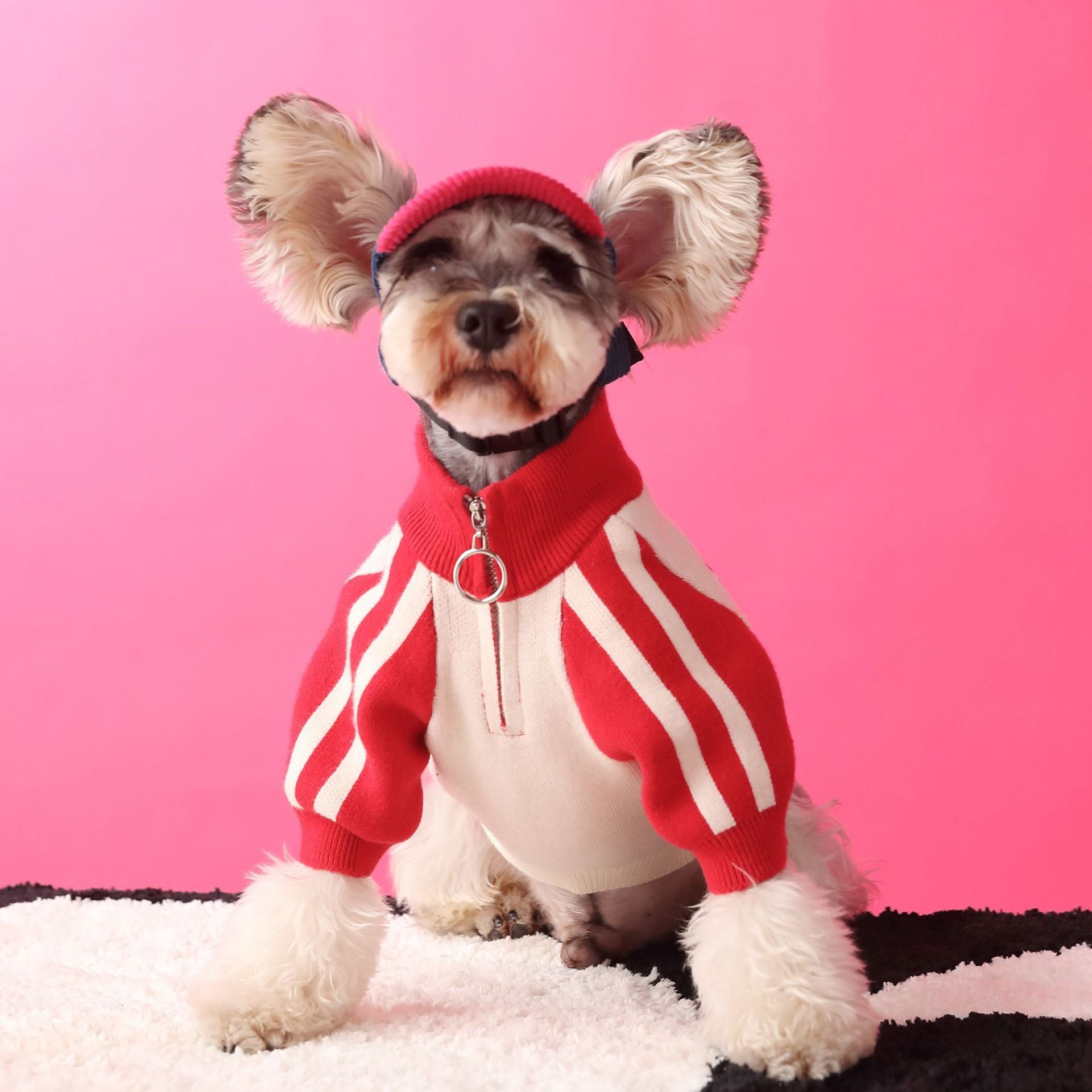 HKM-186771 Cozy Wool Dog Sweater Cardigan for Men - Casual Pet Clothing in Red & Dark Green