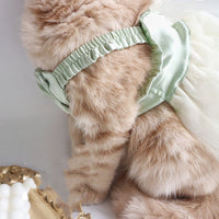 HKM-188115 Elegant Green Dog and Cat Outfit with Traction Skirt, Collar, and Rope - Multiple Sizes Available