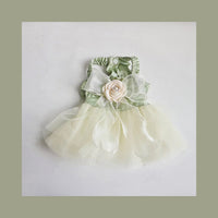 HKM-188115 Elegant Green Dog and Cat Outfit with Traction Skirt, Collar, and Rope - Multiple Sizes Available