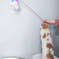 HKM-188115 Fairy Feather Retractable Large Fluffy Feather Funny Cat Toy