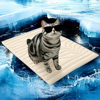 HKM-188691 Cooling Pet Ice Mat for Summer - Available in Multiple Sizes